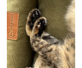 Harley & Cho Dreamer Velour Olive велюровий лежак для собак та котів, оливковий - S