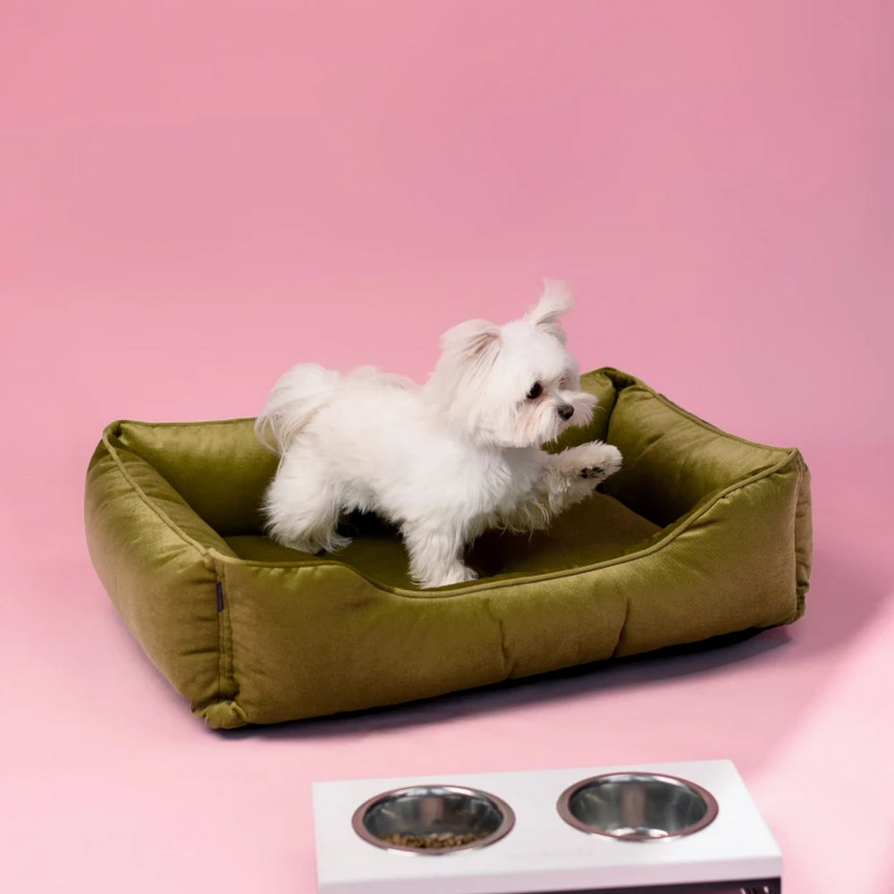 Harley & Cho Dreamer Velour Olive велюровий лежак для собак та котів, оливковий - S