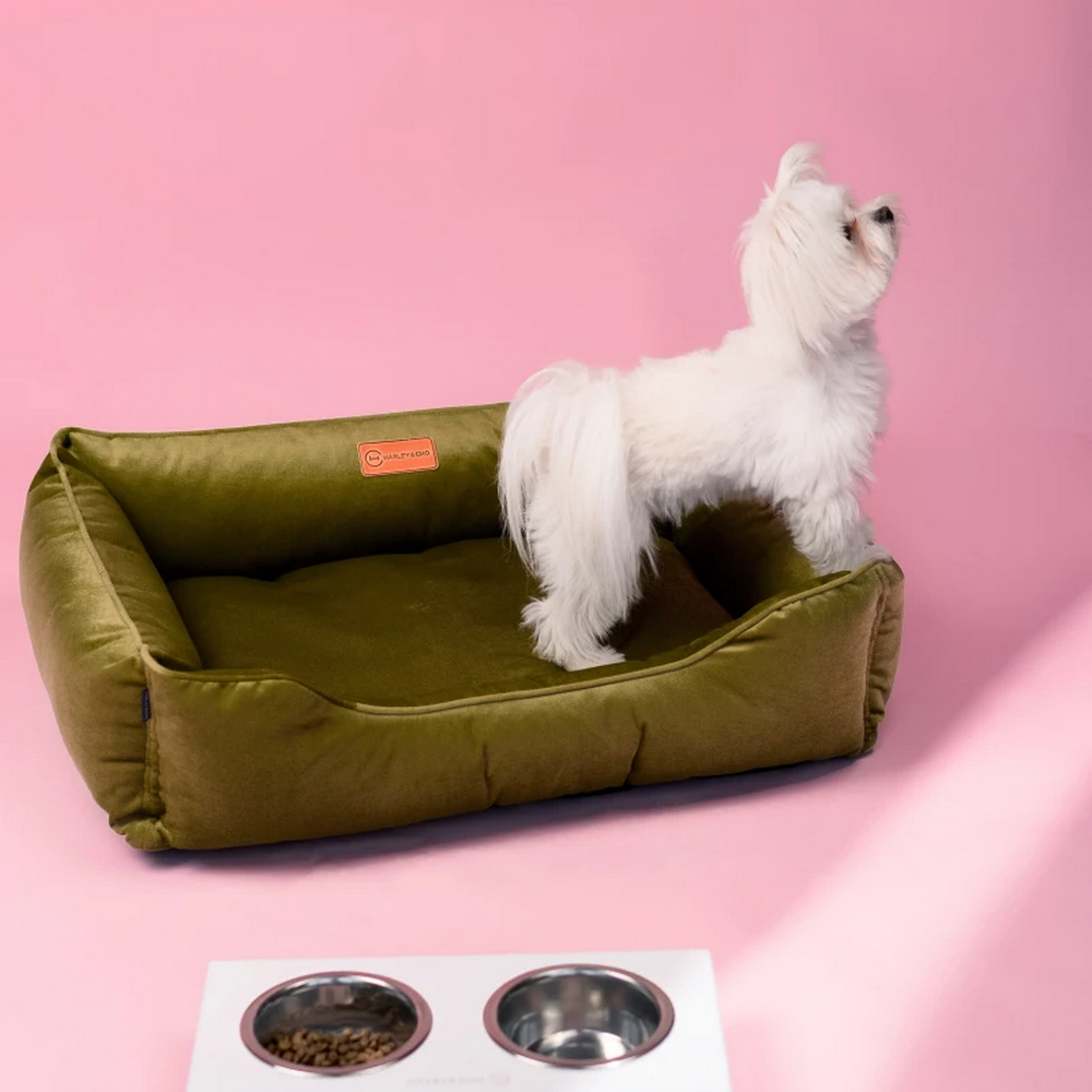 Harley & Cho Dreamer Velour Olive велюровий лежак для собак та котів, оливковий - S