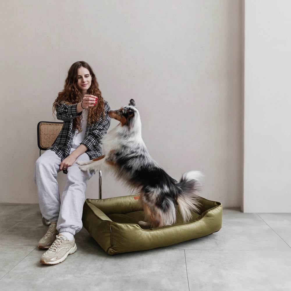 Harley & Cho Dreamer Velour Olive велюровий лежак для собак, оливковий - L