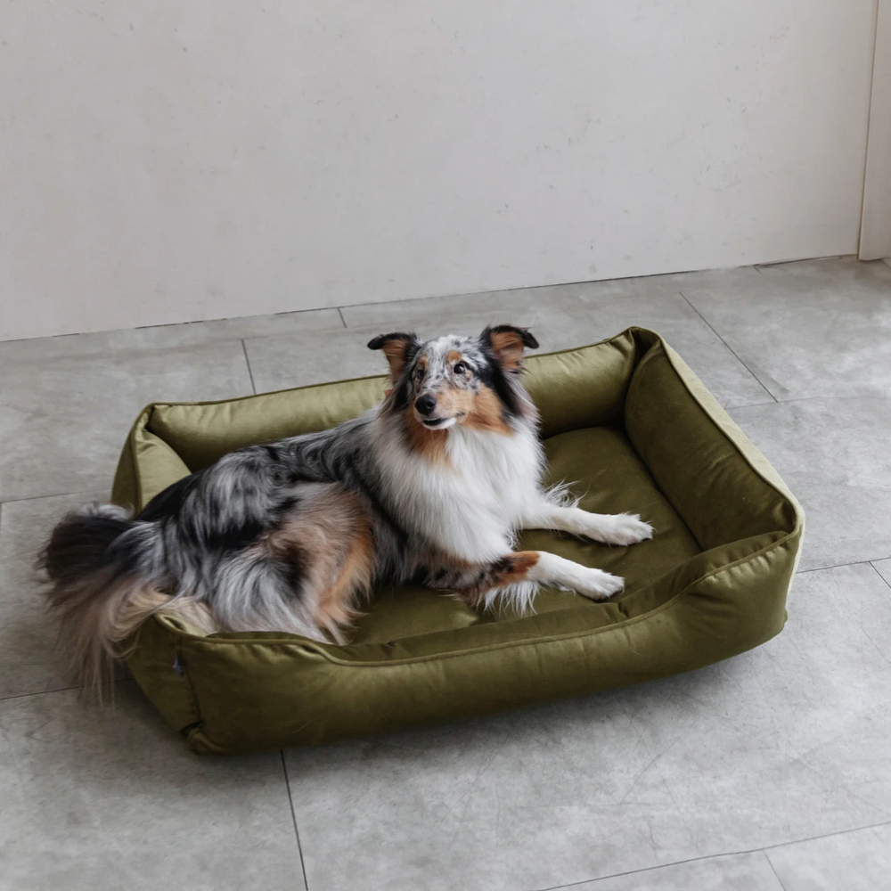 Harley & Cho Dreamer Velour Olive велюровий лежак для собак, оливковий - L