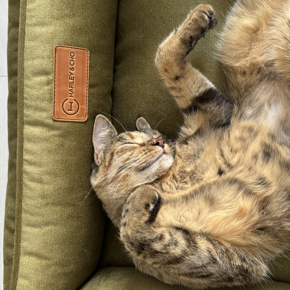 Harley & Cho Dreamer Velour Olive велюровий лежак для собак та котів, оливковий - М