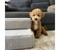 Harley & Cho Tetris Single Gray Fur хутряні сходинки для собак, сірий - 24 х 44 см