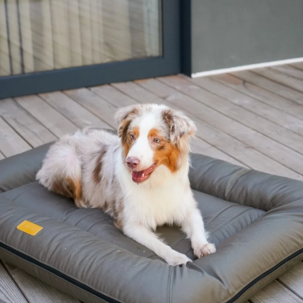 Harley & Cho Lounger Waterproof Khaki двосторонній лежак для собак, хакі - XL