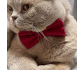 Harley & Cho Burgundy нашийник-метелик для собак і котів, бордовий - S