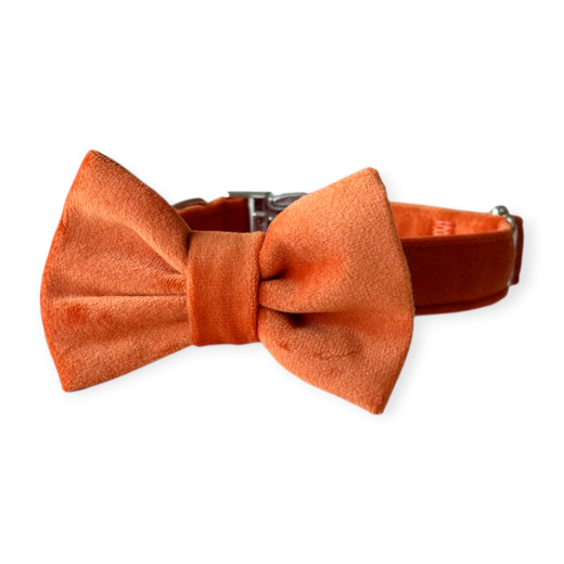 Harley & Cho Orange нашийник-метелик для собак і котів, помаранчевий - XS