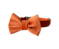 Harley & Cho Orange нашийник-метелик для собак і котів, помаранчевий - S