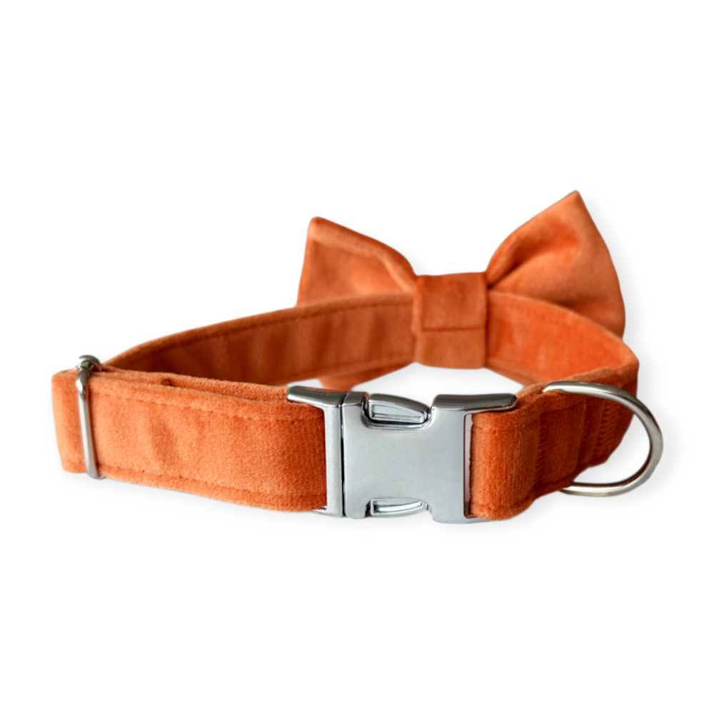 Harley & Cho Orange нашийник-метелик для собак і котів, помаранчевий - S