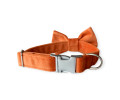 Harley & Cho Orange нашийник-метелик для собак і котів, помаранчевий - S