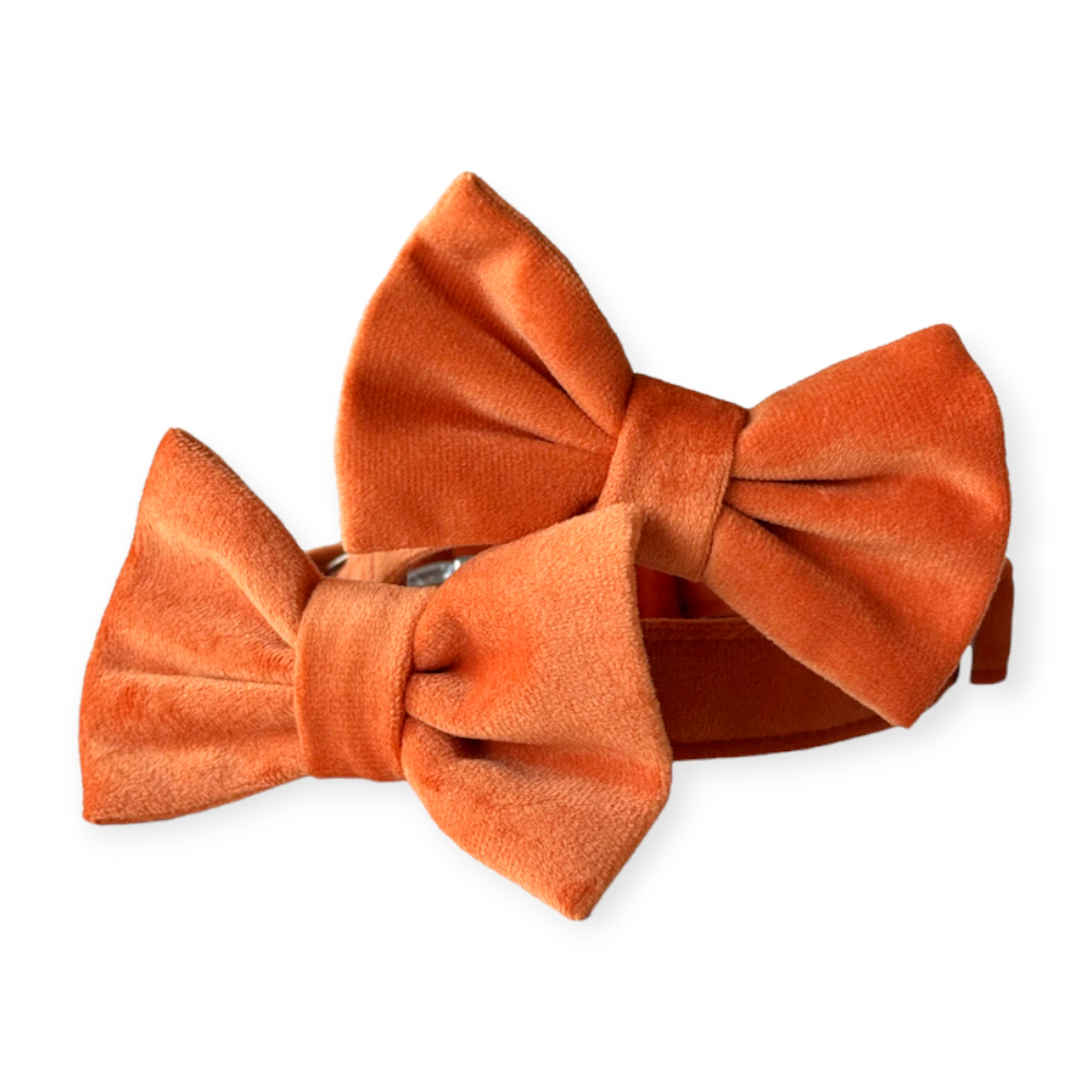 Harley & Cho Orange нашийник-метелик для собак і котів, помаранчевий - S