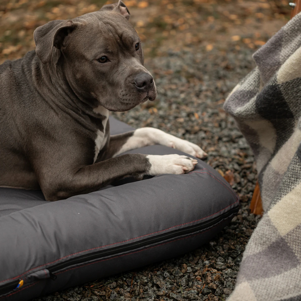 Harley & Cho Lounger Waterproof Gray двосторонній лежак для собак, сірий - XL