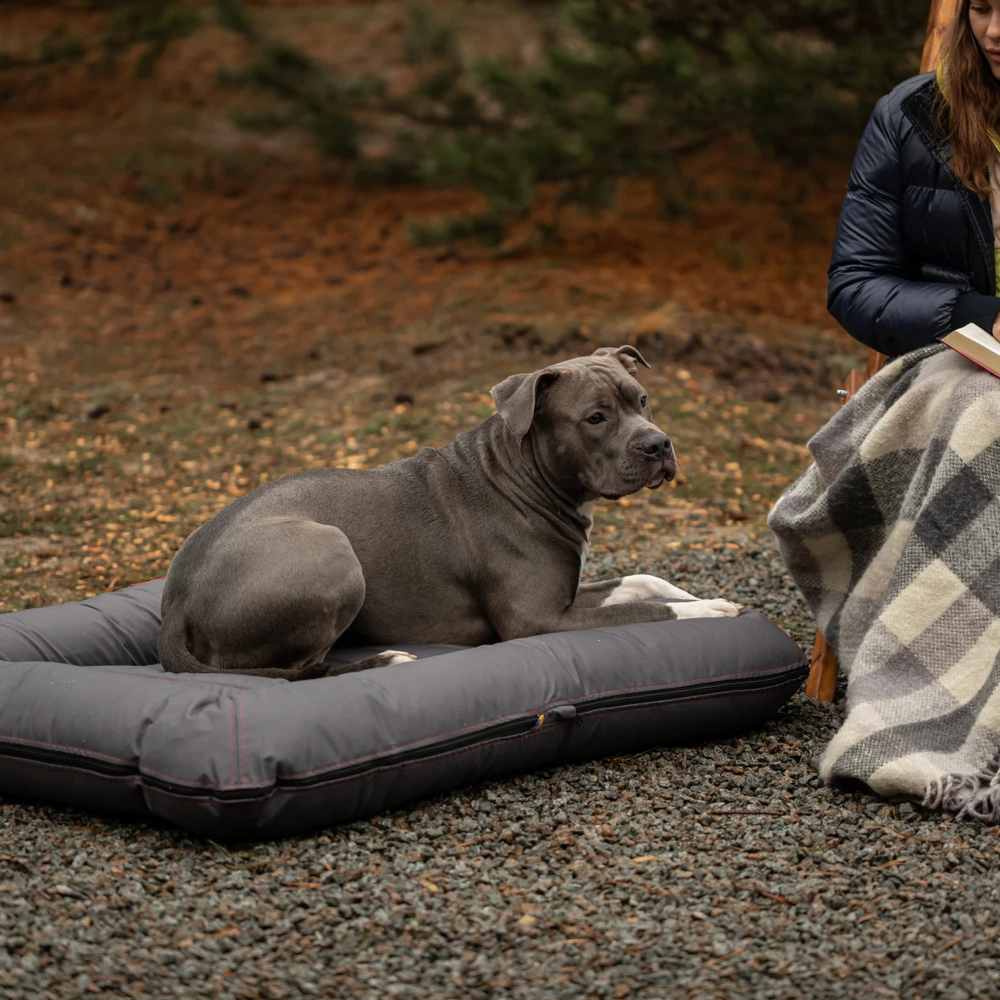 Harley & Cho Lounger Waterproof Gray двосторонній лежак для собак, сірий - XL