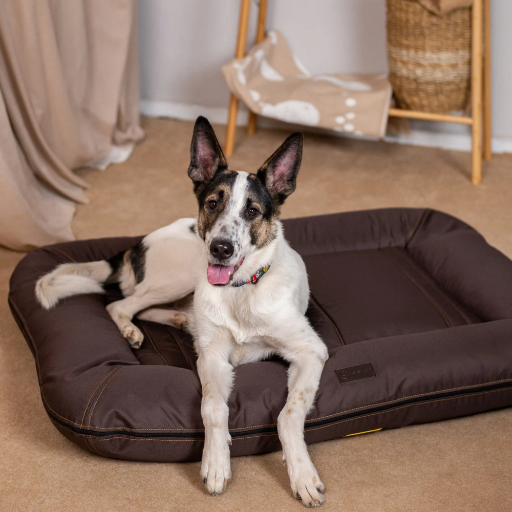 Harley & Cho Lounger Waterproof Brown двосторонній лежак для собак, коричневий -XXL