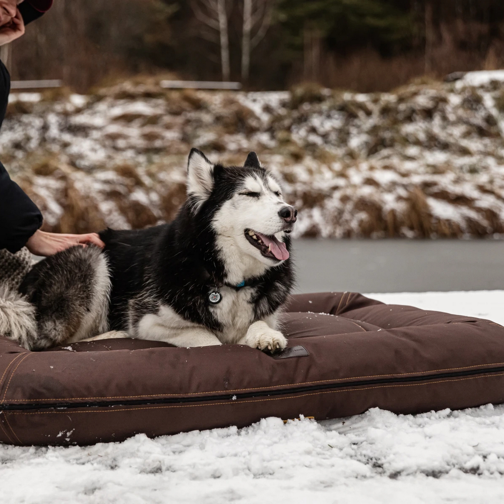 Harley & Cho Lounger Waterproof Brown двосторонній лежак для собак, коричневий -XXL
