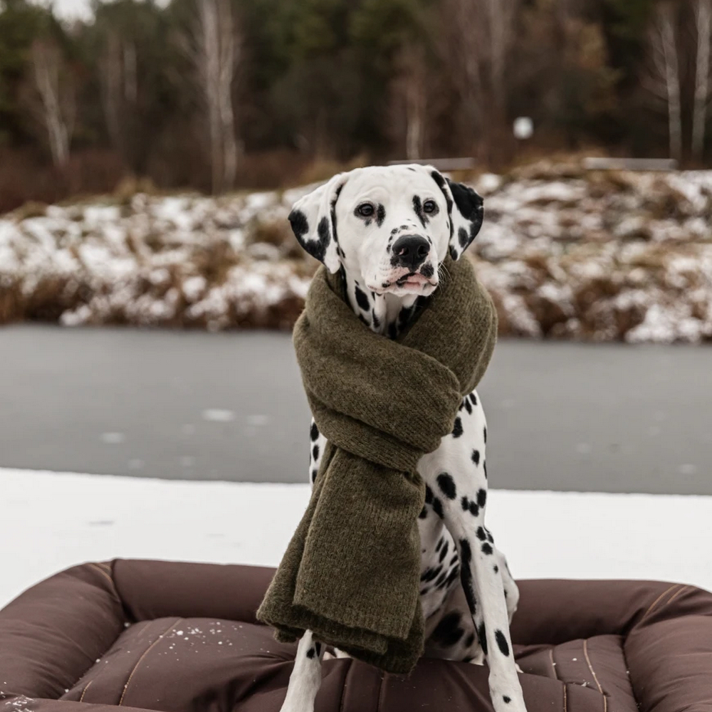 Harley & Cho Lounger Waterproof Brown двосторонній лежак для собак, коричневий -XXL