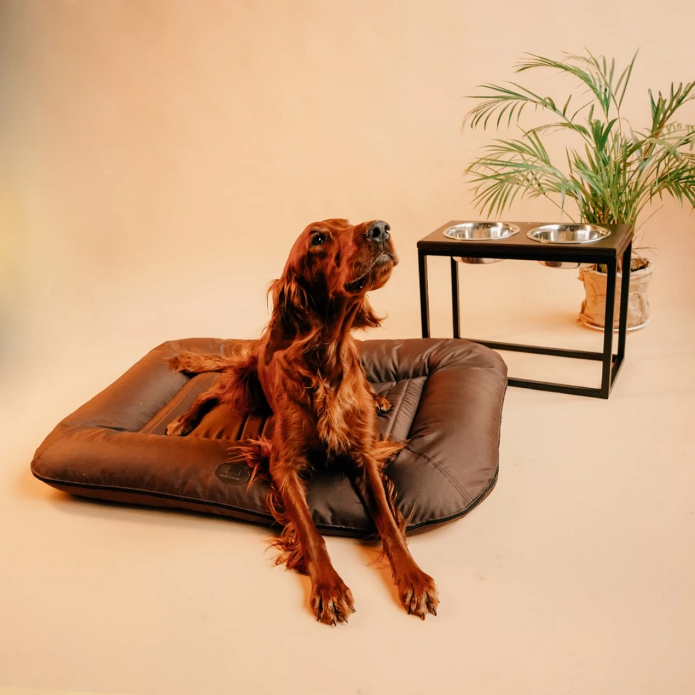 Harley & Cho Lounger Waterproof Brown двосторонній лежак для собак, коричневий -XL