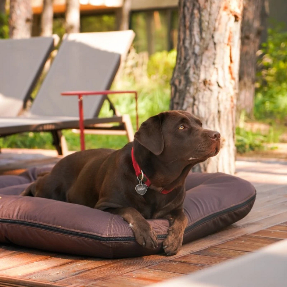 Harley & Cho Lounger Waterproof Brown двосторонній лежак для собак, коричневий -XL