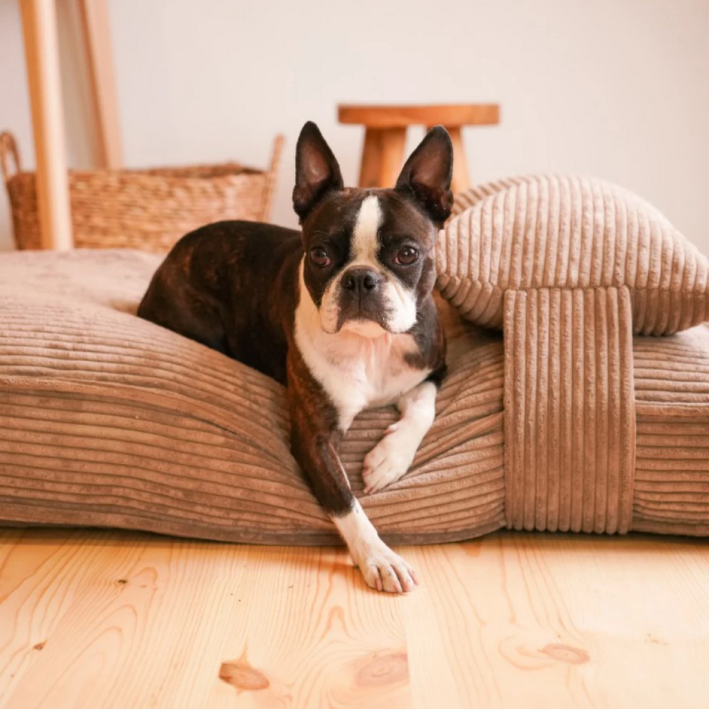 Harley & Cho Pillow Memory Foam Cacao ортопедична подушка для котів і собак, какао - М