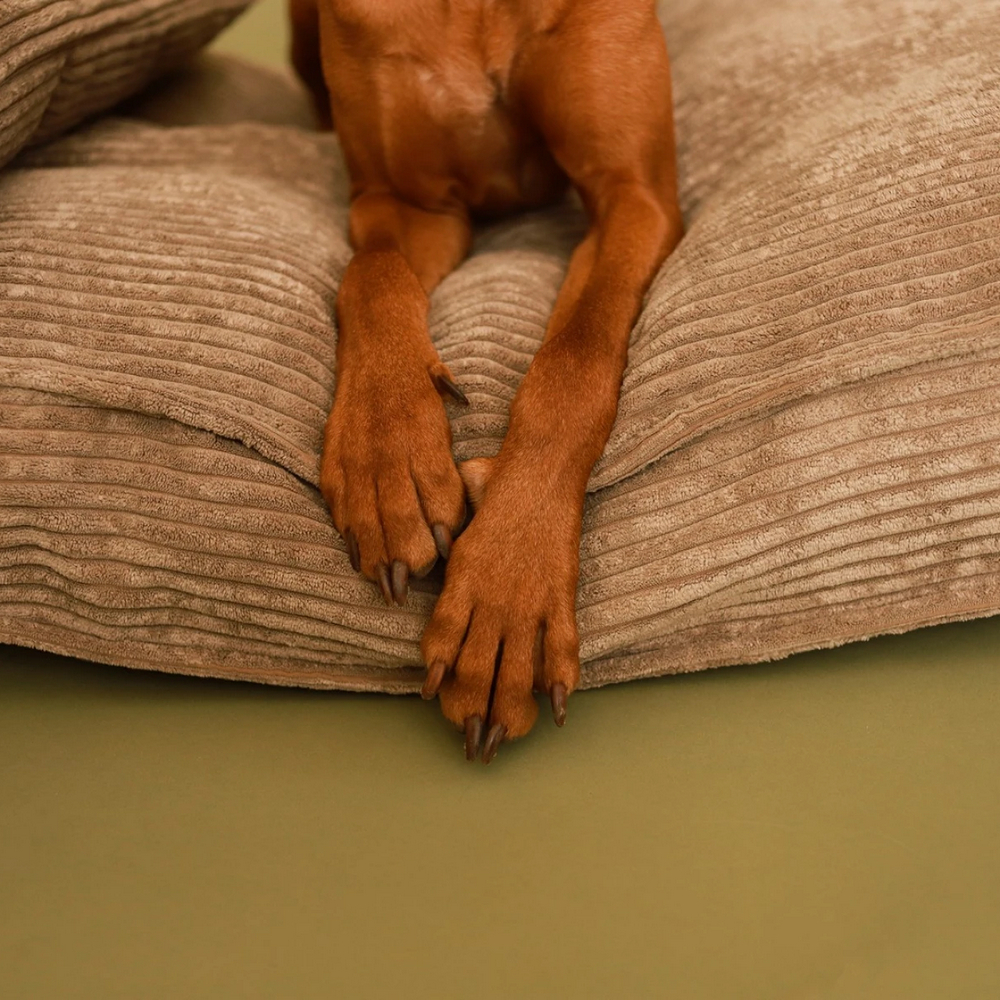 Harley & Cho Pillow Memory Foam Cacao ортопедична подушка для котів і собак, какао - L
