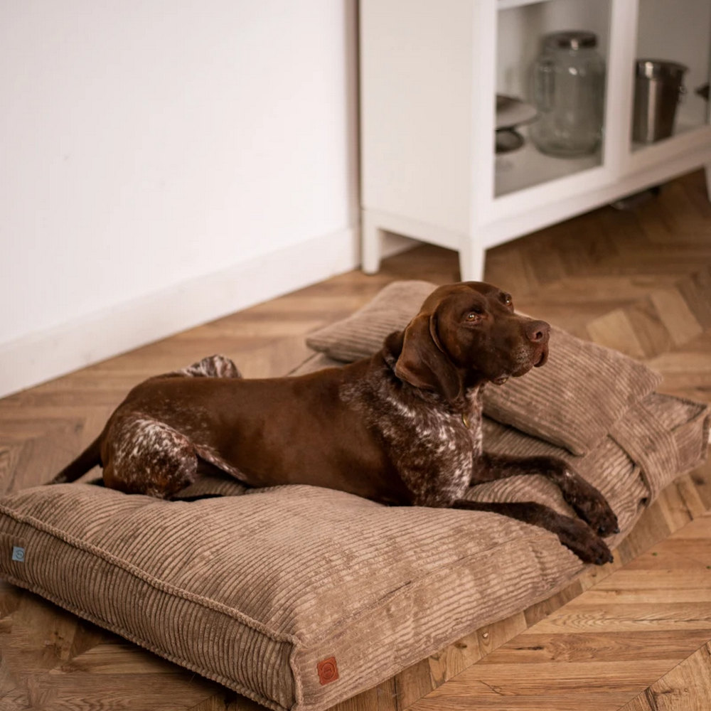 Harley & Cho Pillow Memory Foam Cacao ортопедична подушка для котів і собак, какао - L