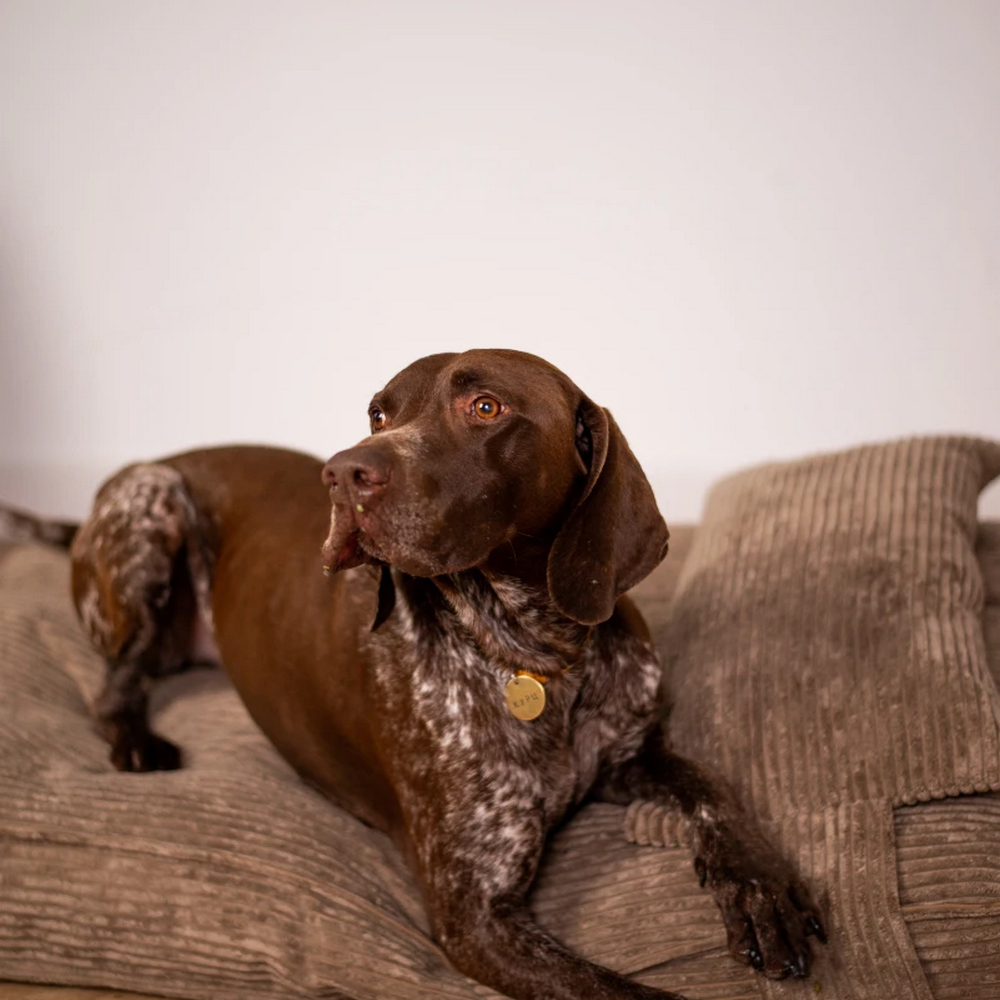 Harley & Cho Pillow Memory Foam Cacao ортопедична подушка для котів і собак, какао - L
