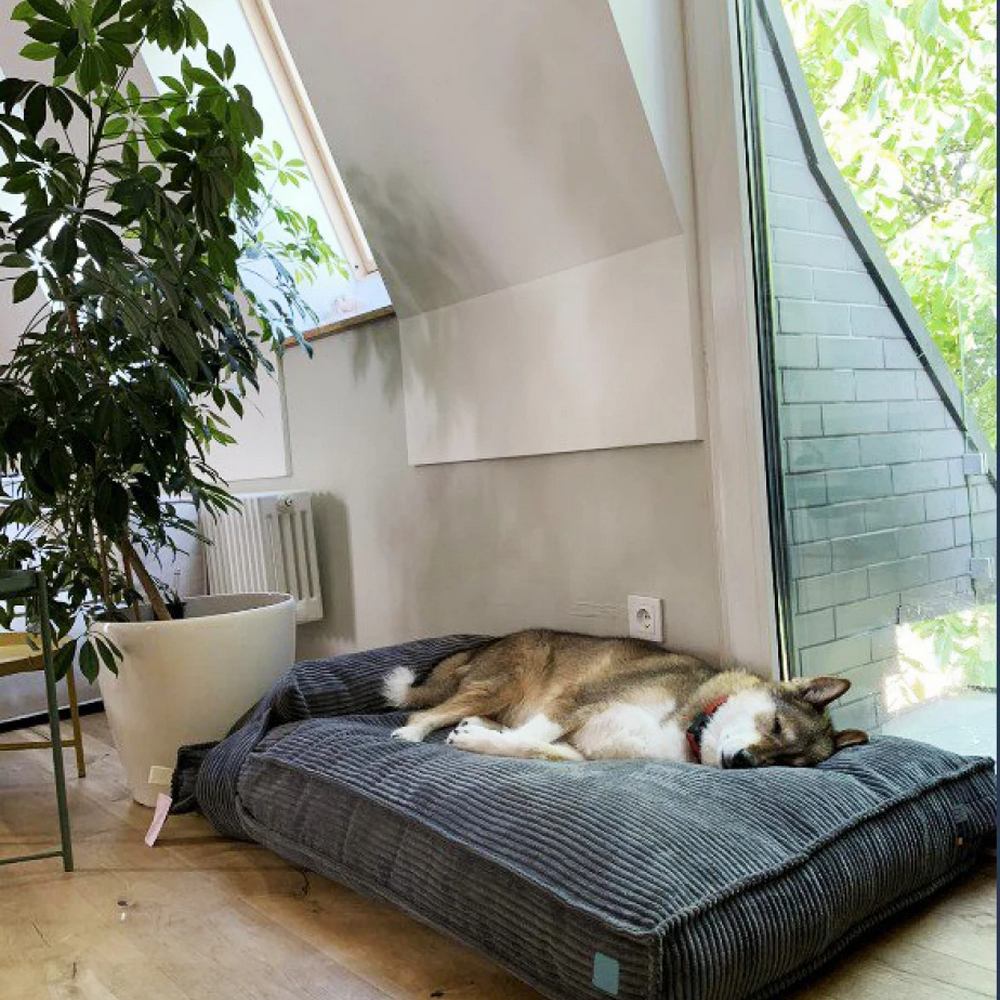 Harley & Cho Pillow Memory Foam Gray ортопедична подушка для котів і собак, сірий -  L
