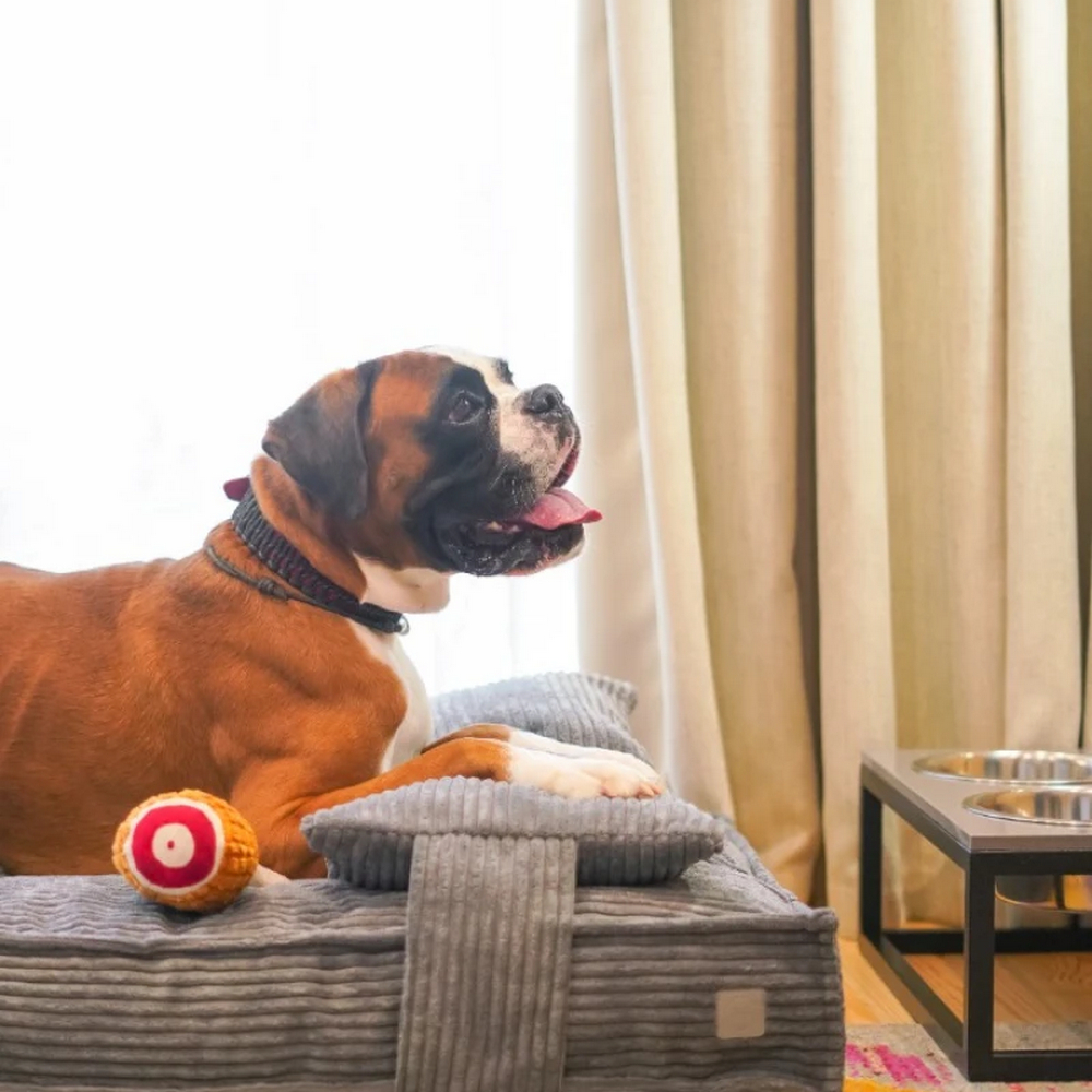 Harley & Cho Pillow Memory Foam Gray ортопедична подушка для котів і собак, сірий -  XL