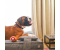 Harley & Cho Pillow Memory Foam Gray ортопедична подушка для котів і собак, сірий -  XL