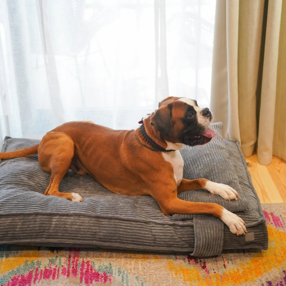 Harley & Cho Pillow Memory Foam Gray ортопедична подушка для котів і собак, сірий -  XL