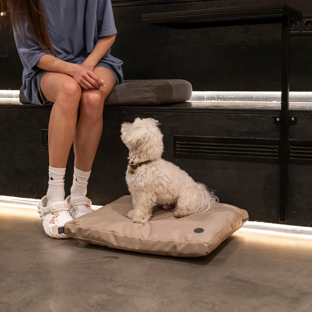 Harley & Cho Simple Beige подушка для котів і собак, бежевий - S