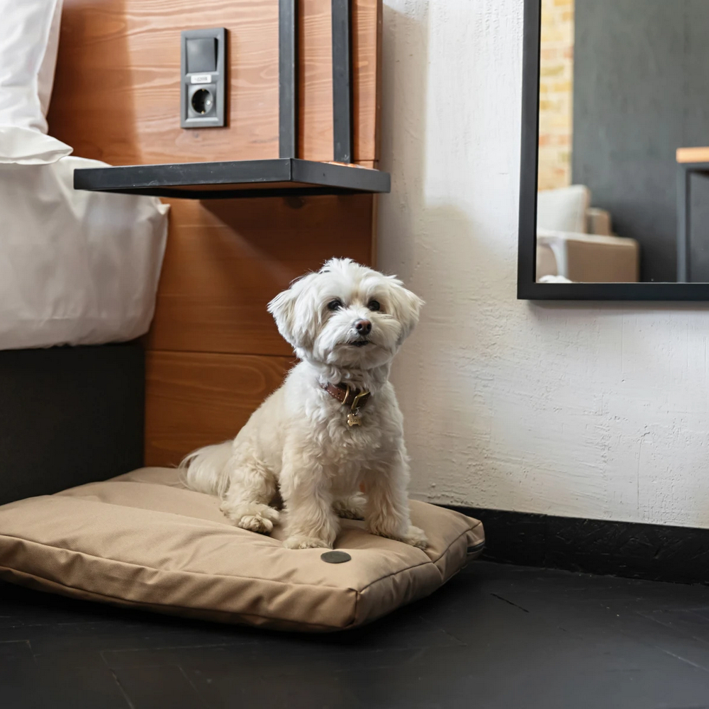 Harley & Cho Simple Beige подушка для котів і собак, бежевий - S