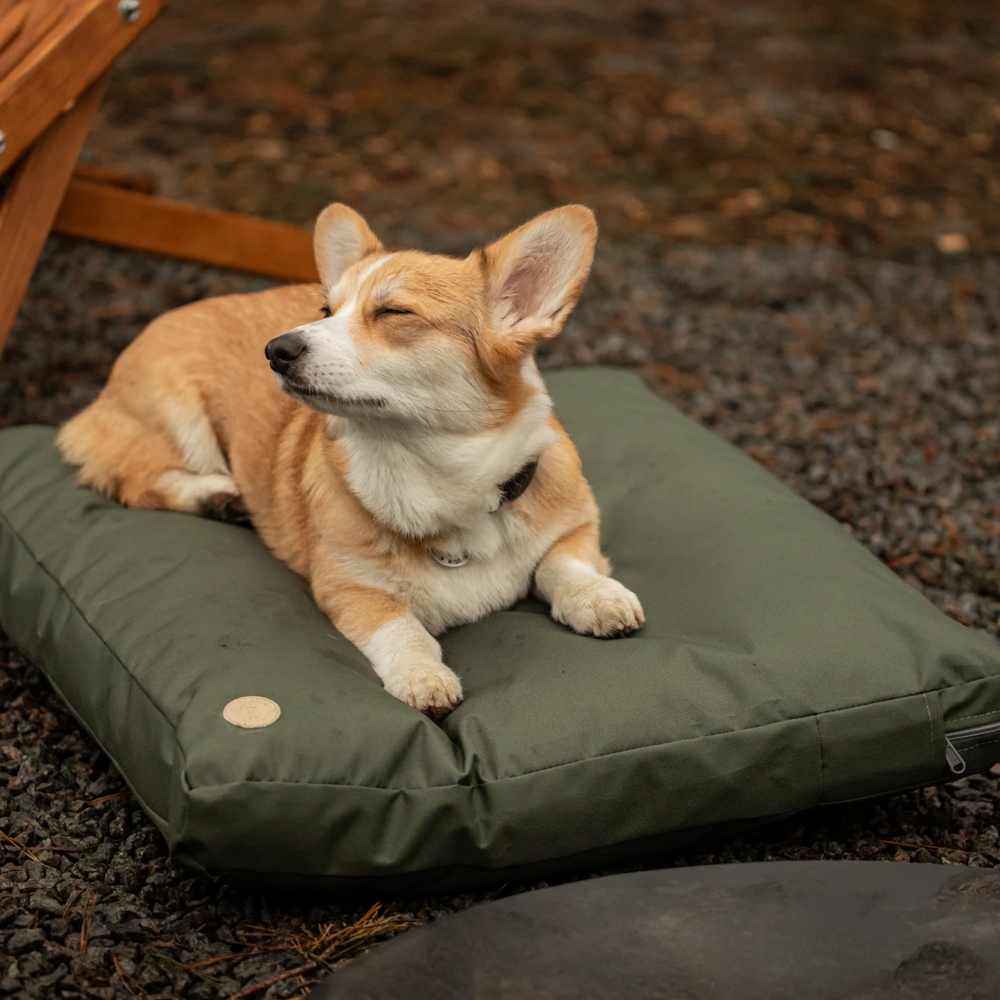 Harley & Cho Simple Olive подушка для котів і собак, оливковий - М