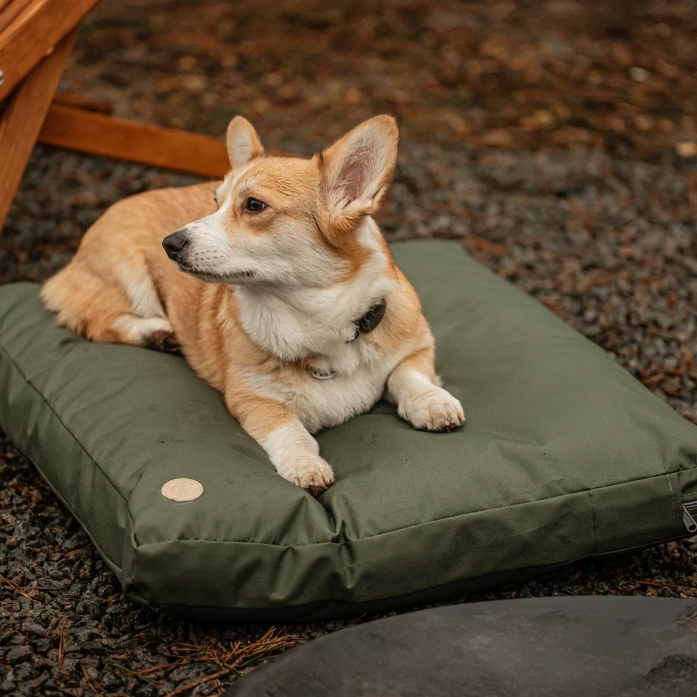 Harley & Cho Simple Olive подушка для котів і собак, оливковий - М