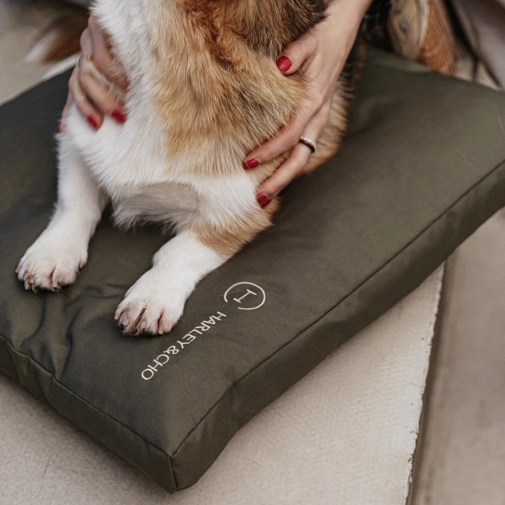 Harley & Cho Simple Olive подушка для котів і собак, оливковий - М