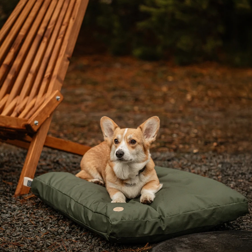 Harley & Cho Simple Olive подушка для котів і собак, оливковий - М