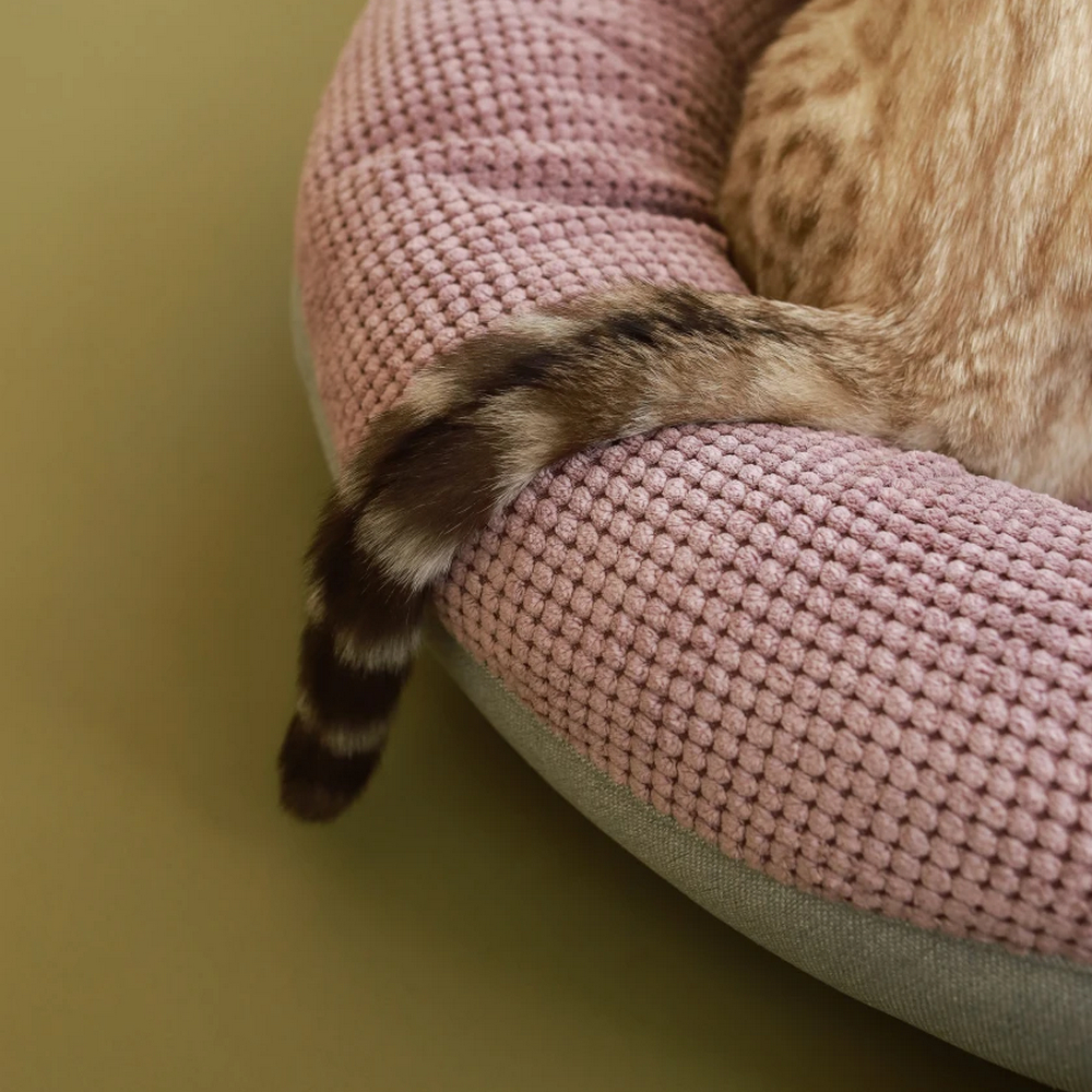 Harley & Cho Bagel Pink овальний лежак для собак та котів, рожевий - М