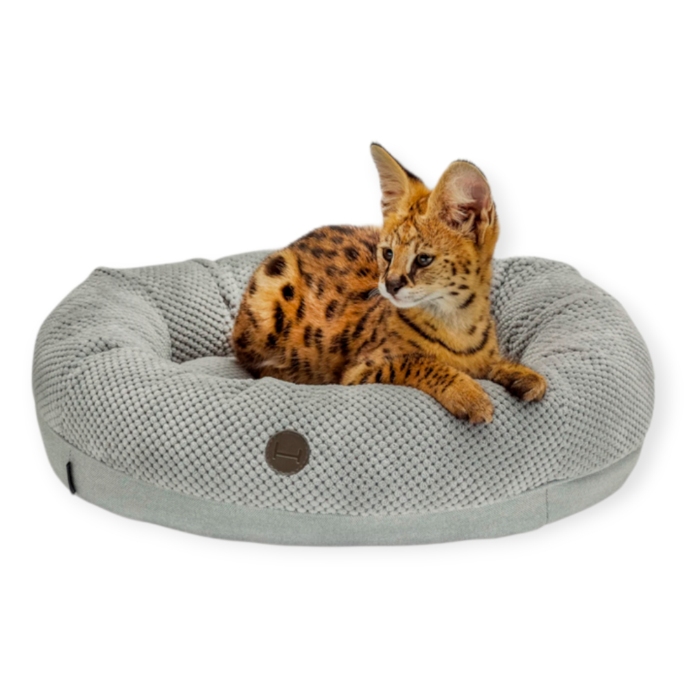 Harley & Cho Bagel Silver овальний лежак для собак та котів, срібний - S