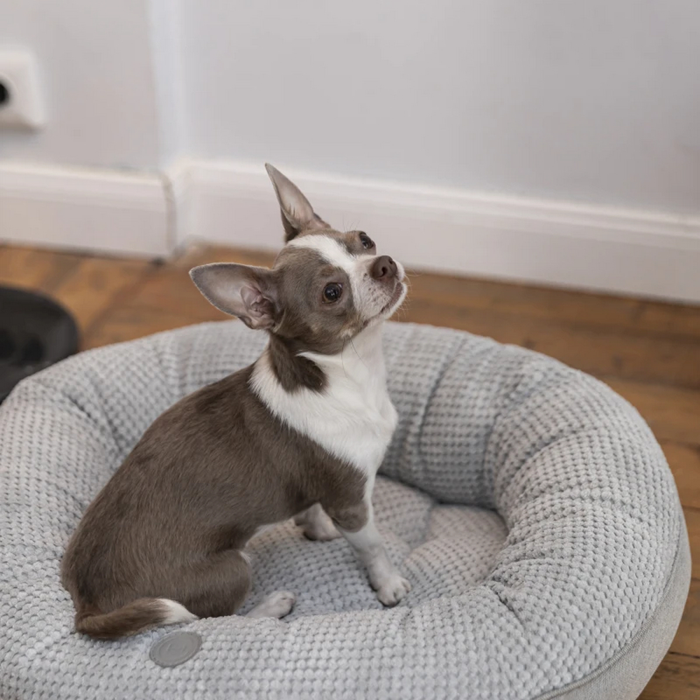 Harley & Cho Bagel Silver овальний лежак для собак та котів, срібний - S
