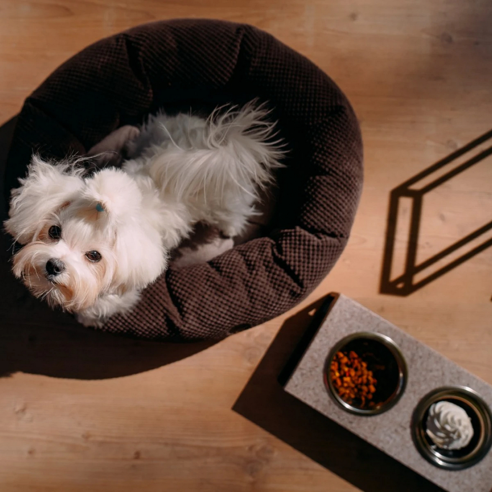 Harley & Cho Bagel Brown овальний лежак для собак та котів, коричневий - S