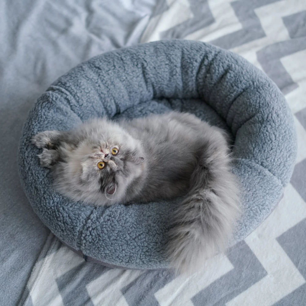 Harley & Cho Bagel Gray Fur овальний лежак для собак та котів, сірий - S