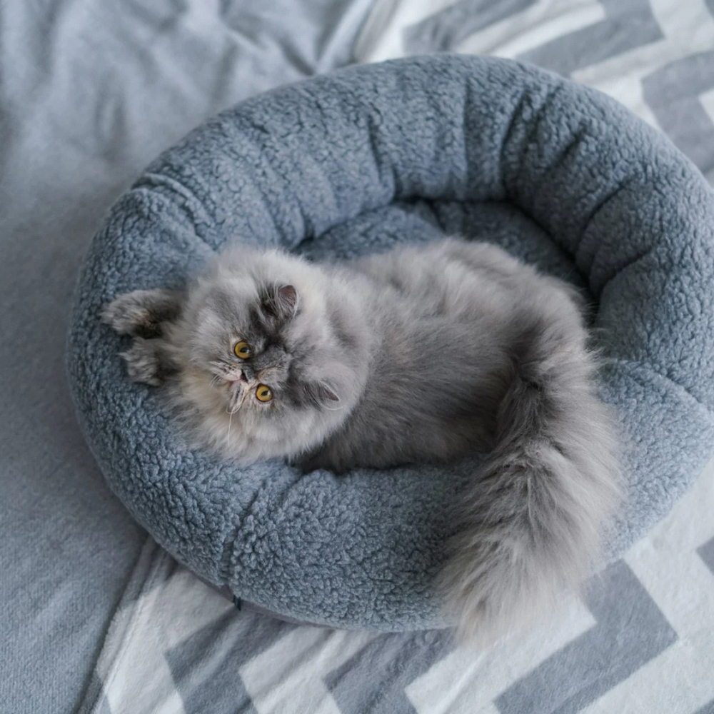 Harley & Cho Bagel Gray Fur овальний лежак для собак та котів, сірий - М