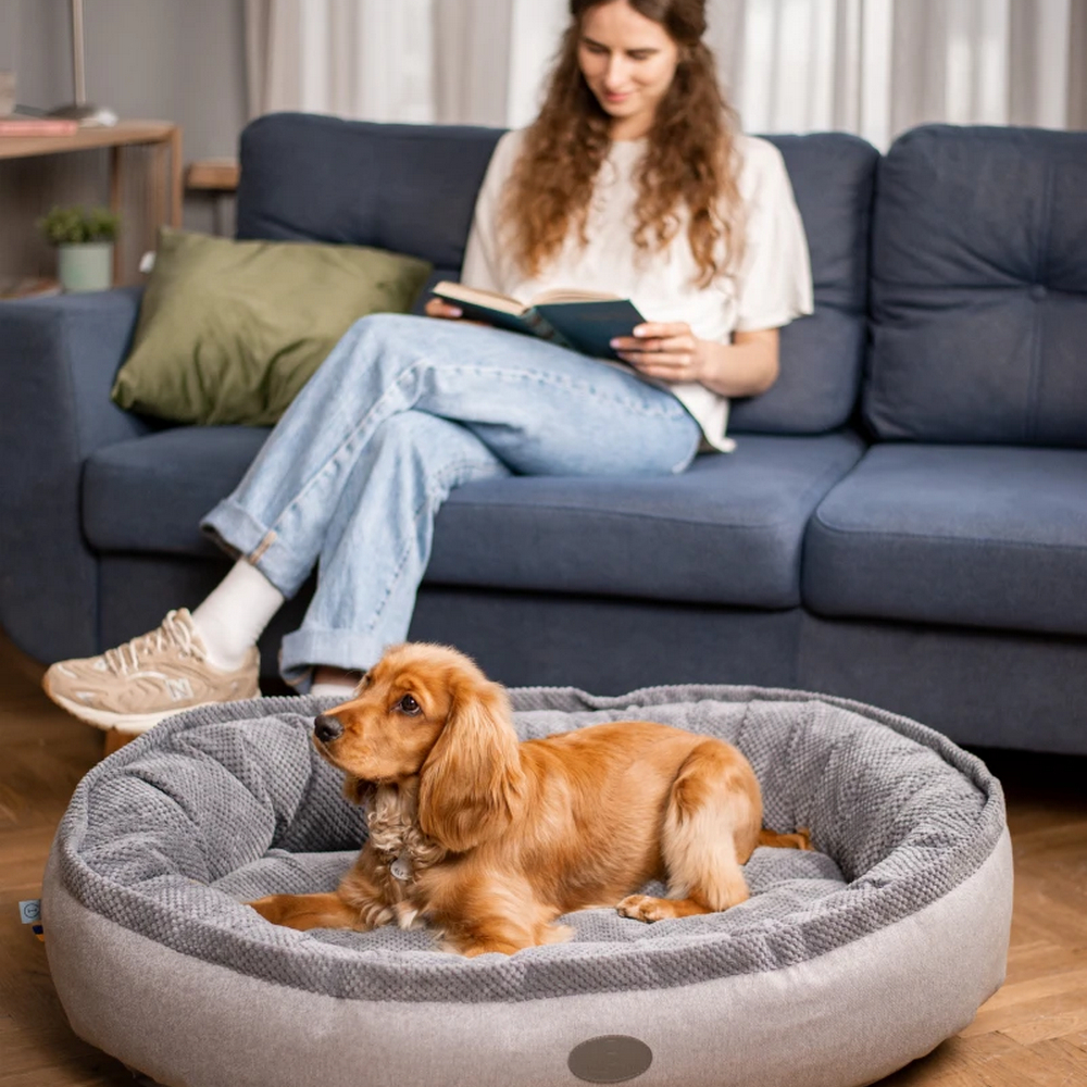Harley & Cho Donut Soft Touch Gray овальный лежак для собак, сірий - M