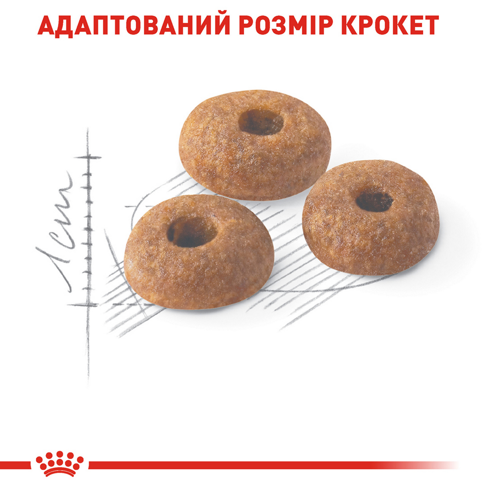 Royal Canin Fit 32 сухий корм для котів, що гуляють на вулиці - 4 кг