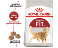Royal Canin Fit 32 сухий корм для котів, що гуляють на вулиці - 4 кг