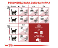 Royal Canin Fit 32 сухий корм для котів, що гуляють на вулиці - 10 кг