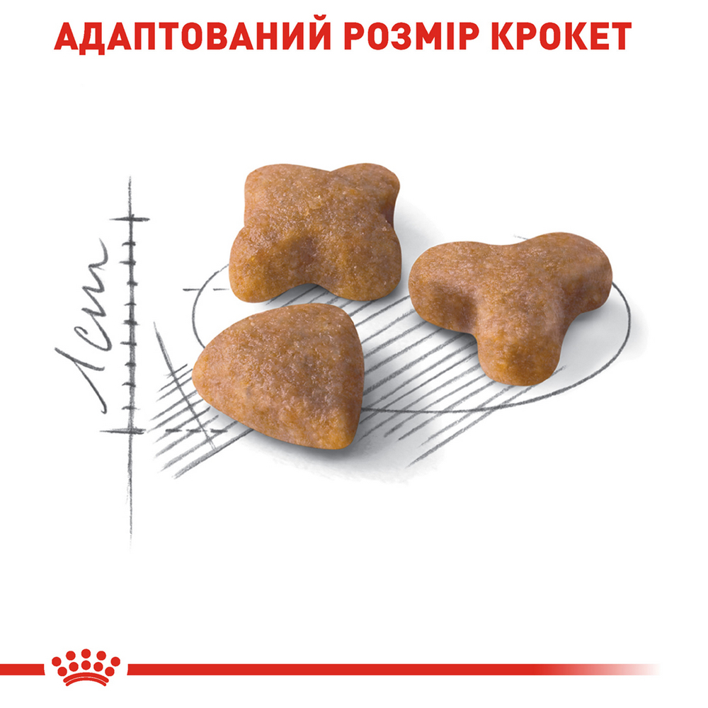 Royal Canin Sensible 33 сухий корм для котів з чутливим травленням - 400 г