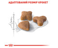 Royal Canin Sensible 33 сухий корм для котів з чутливим травленням - 400 г