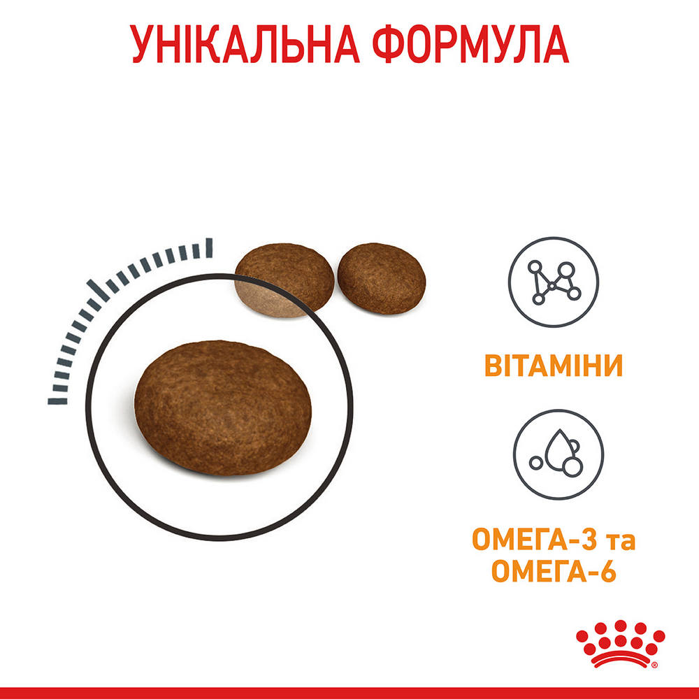 Royal Canin Hair & Skin Care сухий корм для котів з проблемною шерстю - 2 кг
