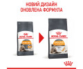 Royal Canin Hair & Skin Care сухий корм для котів з проблемною шерстю - 4 кг