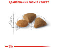 Royal Canin Exigent Savour сухий корм для вибагливих котів, з м’ясом птиці - 2 кг
